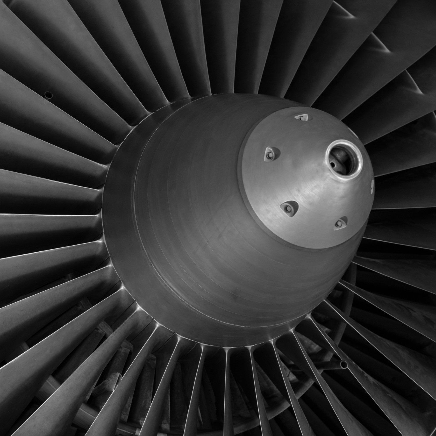 Airplane engine fan